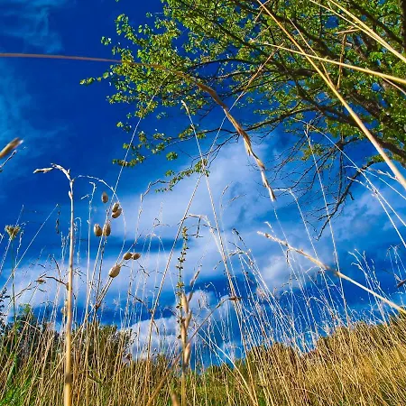 Chalet Kuca Za Odmor Gale *